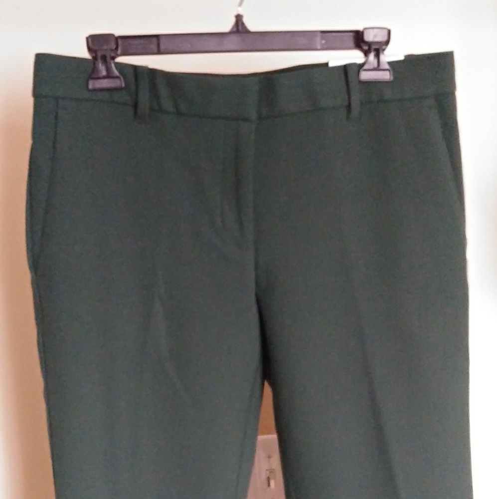 Ann Taylor Pants